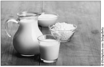 probiotics human microbiome gut intestinal metabolic trophic metabolism balance pathogen microbiota lactobacillus milk lactic acid sour buttermilk yogurt