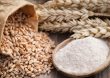The Evolving Role of Cereal Grains in the Modern Diet