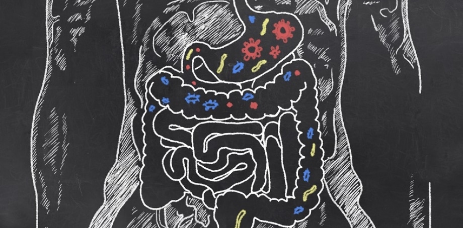 Probiotics and the Human Microbiome
