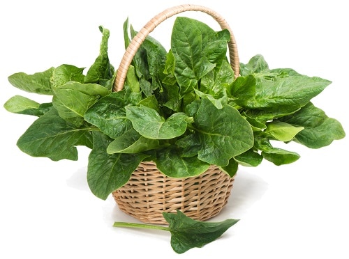 oxalates Julie Matthews inflammation spinach swiss chard mitochondrial function auto-immune disease gastrointestinal oxidative stress histamine release faulty sulfation cellular energy mineral absorption glutathione gut health microbiome sulfation