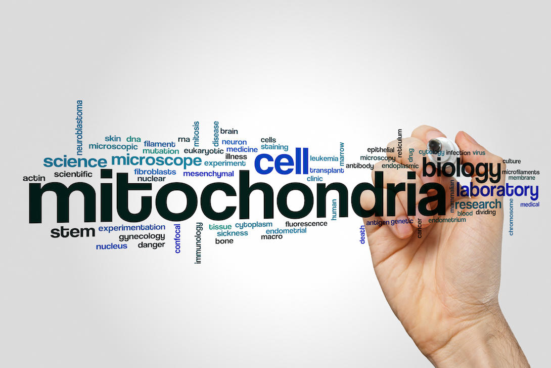 Mitochondria word cloud concept